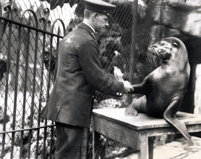 Un guardiano e un leone marino si stringono la mano nel 1931 da Frederick William Bond